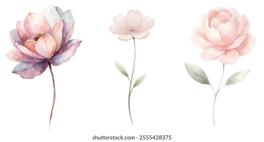 Three flowers are shown in a watercolor style. The flowers are pink and have green leaves. The flowers are arranged in a row, with the middle flower slightly larger than the other two