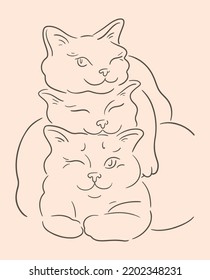 Three fluffy cats wink and smile. Kittens cuddle together. Pets friendly concept