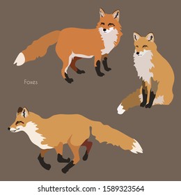 Three fluffy red foxes on a brown background seamless vector illustration. Picture with forest animals. Endless pattern. EPS 10