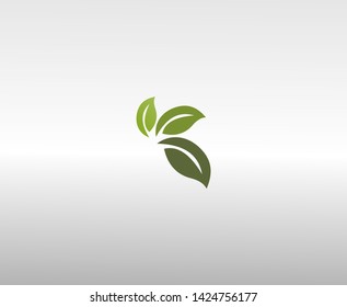 three forms of green leaves