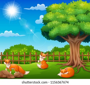 Three fox cartoon on nature scene