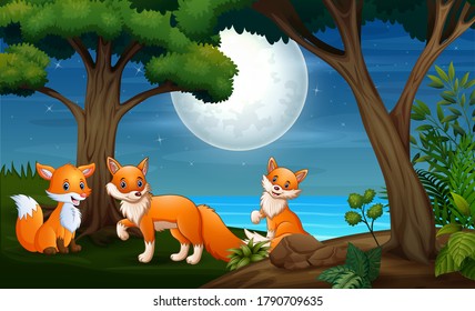 Three fox hunts at night