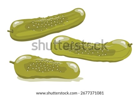 Three fresh green petit gherkin-sized dill pickle illustrations on a white background