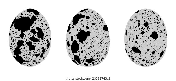 Three fresh quail eggs isolated on white background, monochrome vector illustration