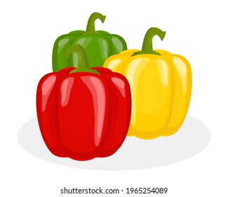 Three fresh whole and colors ; green, red, yellow bell peppers or capsicum isolated on white background. Icon vector illustration.