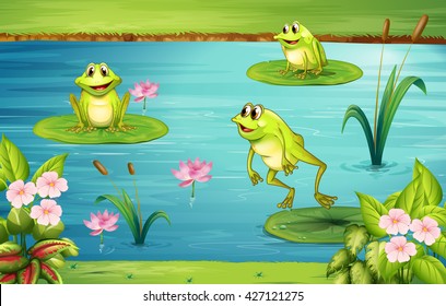 Three frogs living in the pond illustration