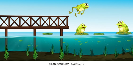 Three frogs in the pond illustration