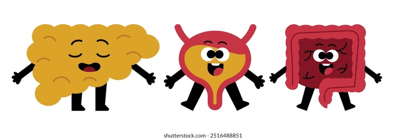 Three funny cartoon organs, a yellow liver, a pink bladder and a red intestine
