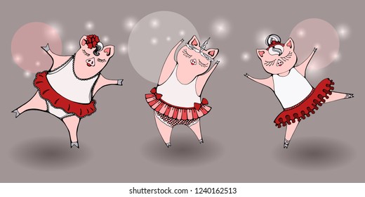 Three funny cute pigs are in a beautiful dresses and pointe shoes dancing ballet.
