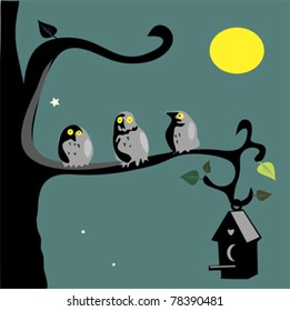 Three funny owls