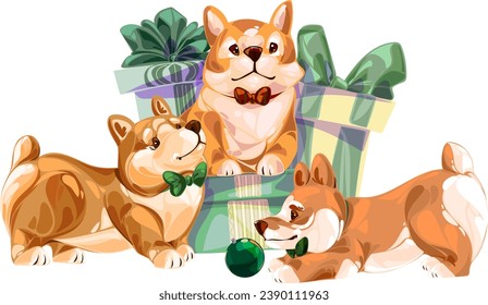 Three funny Pembroke Welsh corgi puppies play in Christmas gifts