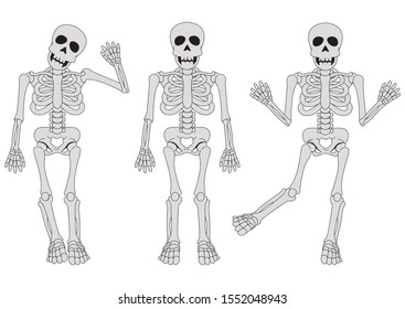 Three funny skeletons in different position. Clipart Skeleton