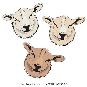 Three fur sheep of different colors. Farmed Eco-friendly wool animals for the agricultural industry. Vector image.