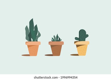 Three of garden potted plants vector.