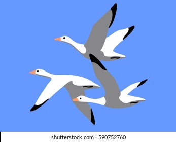 three geese in the sky