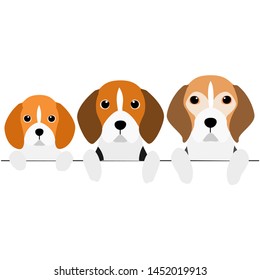 three generations of Beagles border