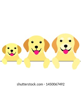 three generations of dogs border