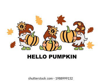 Three gnomes with pumpkin, sunflower and autumn leaves are on white background. Hello pumpkin. Vector illustration.