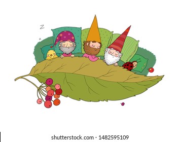 Three gnomes sleep under the leaf. Forest elves 