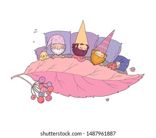 Three gnomes sleep under the leaf. Forest elves 