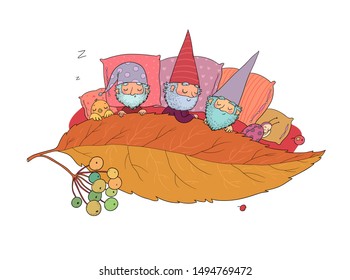 Three gnomes sleep under the leaf. Forest elves. Good night. Sweet Dreams