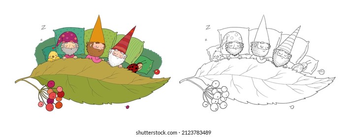 Three gnomes sleep under the leaf. Forest elves. Illustration for coloring books. Monochrome and colored versions. 