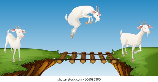 Three goats crossing bridge illustration