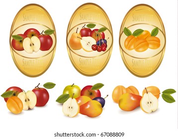 Three gold labels with different sorts of fruit. Vector.