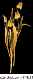 three gold tulips on a black background
