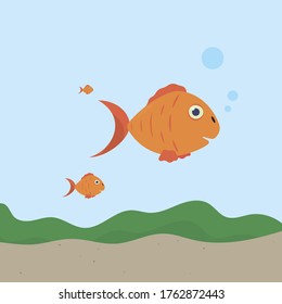 Three goldfish smiling against the backdrop of seaweed