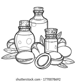 Three graphic oil bottles surrounded by argan plants. Vector botanical design isolated on white background