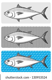 Three graphic variations of a bluefin tuna.