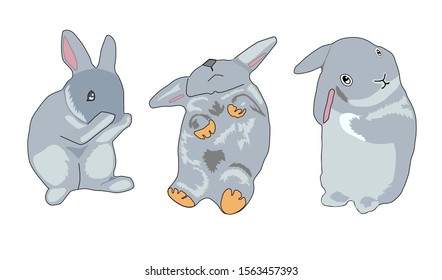 Three gray rabbits designed in gray  The first one stood, the second sleep, and the third held his ear.