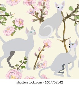 Three gray siamese or sphinx cats in sakura flowers on a beige background seamless vector illustration. Felis catus. Image of a silhouette of a bald and hairless cat. Endless pattern. EPS10