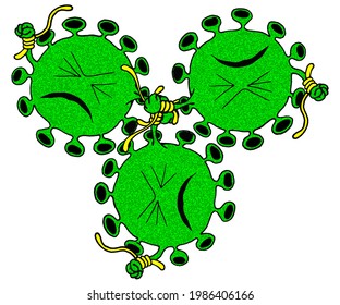 
Three green coronaviruses are bound together