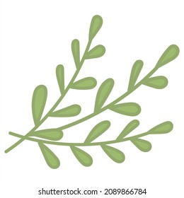 Three green decorative branches vector illustration. Hand drawn doodles leaf icon. Nature background for logo, labels, stickers, clipart, posters, banners. Plant design elements isolated on white .