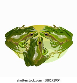 Three green frog sitting next vector illustration EPS 10