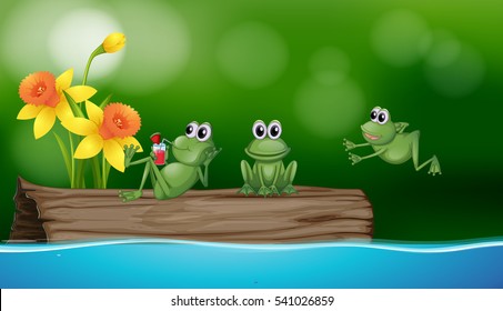Three green frogs on the log illustration