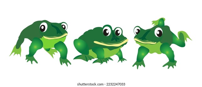 Three green frogs on white background, isolated each on its layer. Vector illustration.