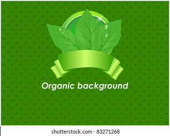 Three green leaf with a round glossy frame located behind the ribbon on abstract dotted background