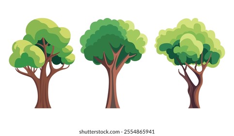 Three green leafy trees have brown trunks on white background.