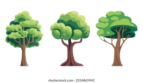 Three green leafy trees stand tall brown trunks beside each other.