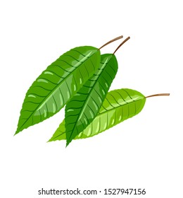 Three green leaves of cherry tree. Urban gardening, greening, landscaping of cities, municipal forestry, natural environment protection concept. Vector cartoon illustration isolated on white.
