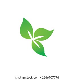 three green leaves color design vector illustration