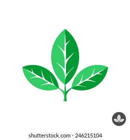 Three green leaves flat vector logo template