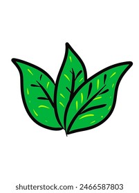 Tres hojas verdes dibujadas a mano