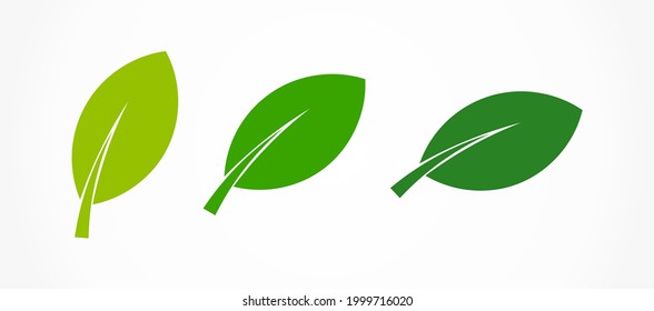 Tres iconos de hojas verdes. Ilustración vectorial.