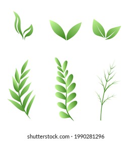 Three green leaves isolated on white background , Vector Illustration EPS 10