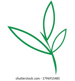 three green leaves on little branches vector image