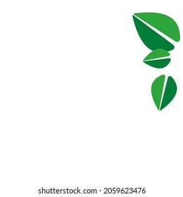 Drei grüne Blätter auf weißem Hintergrund